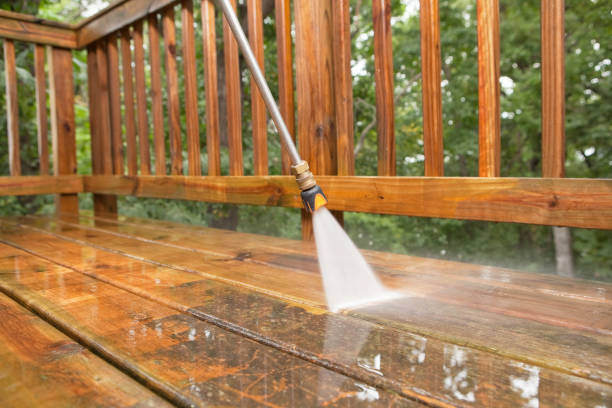 Animal Enclosure Cleaning in Keeler Farm, NM